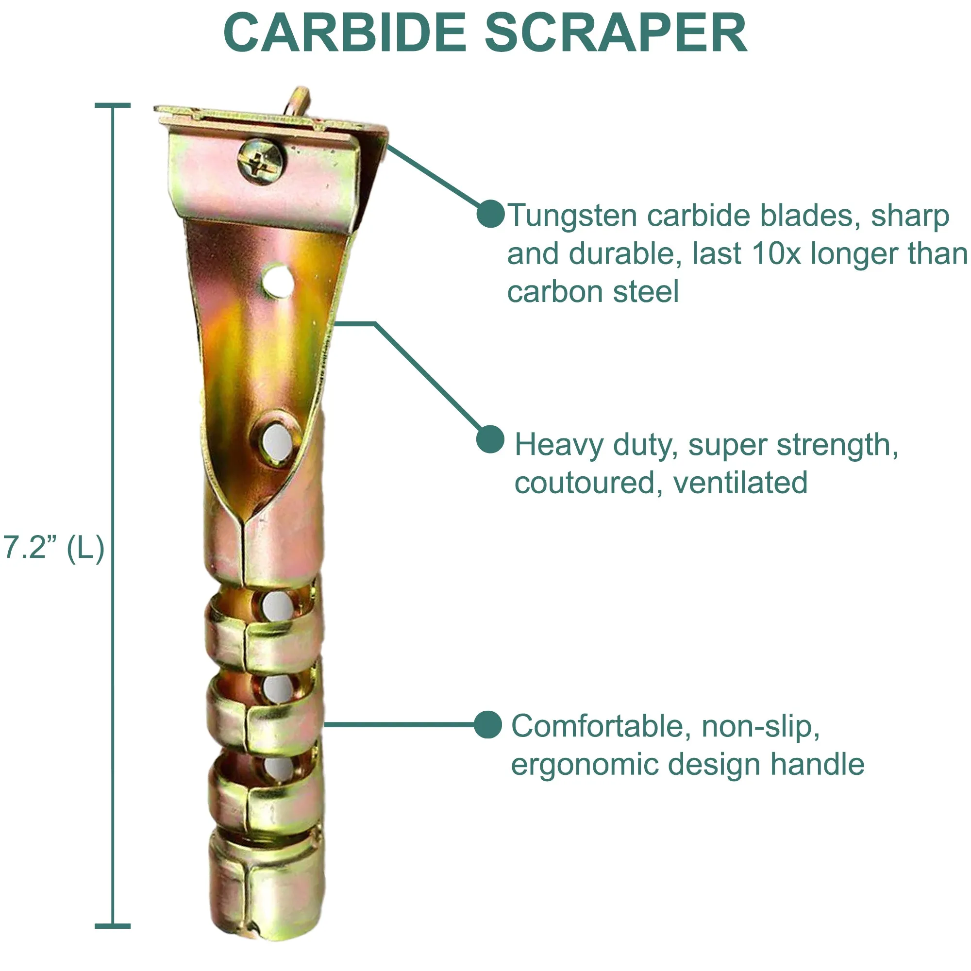 Professional Carbide Scraper